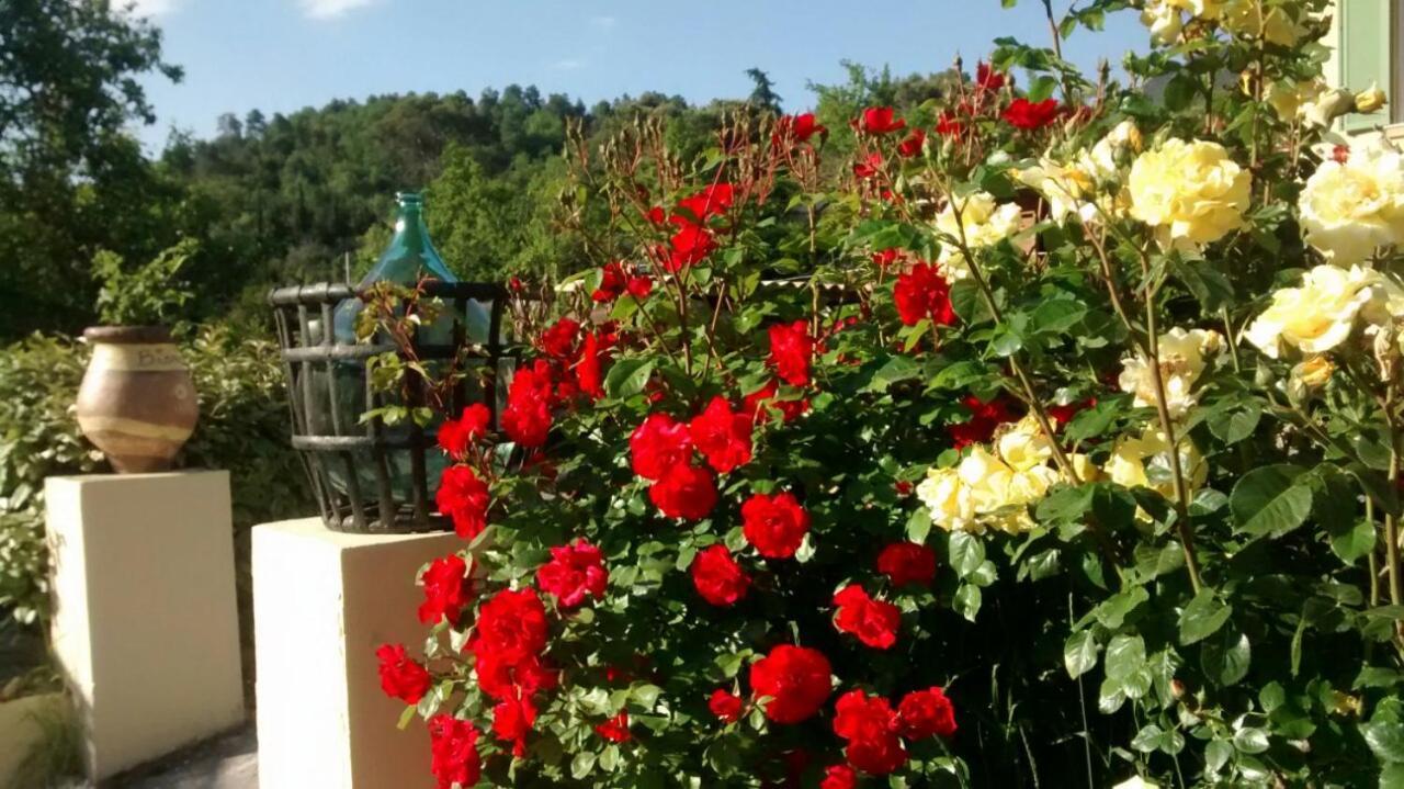 Lou Mas Dau Paigran Bed & Breakfast Saint-Blaise  Dış mekan fotoğraf