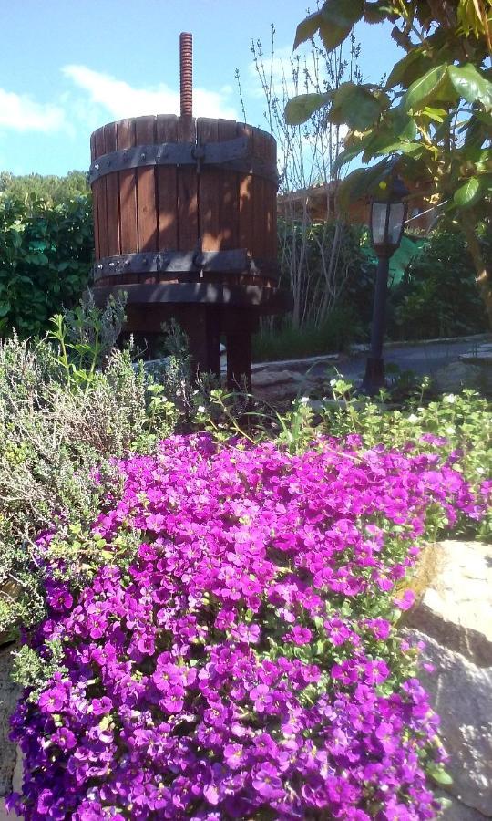 Lou Mas Dau Paigran Bed & Breakfast Saint-Blaise  Dış mekan fotoğraf