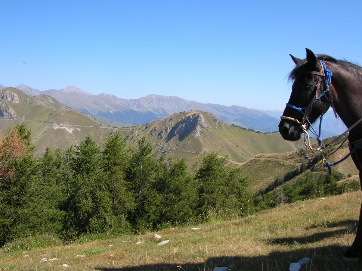 Lou Mas Dau Paigran Bed & Breakfast Saint-Blaise  Dış mekan fotoğraf