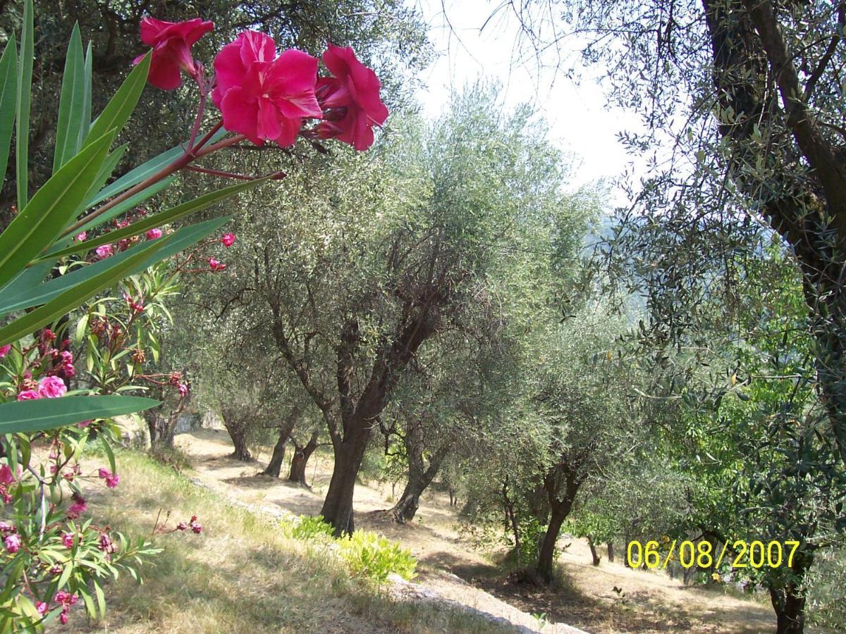 Lou Mas Dau Paigran Bed & Breakfast Saint-Blaise  Dış mekan fotoğraf