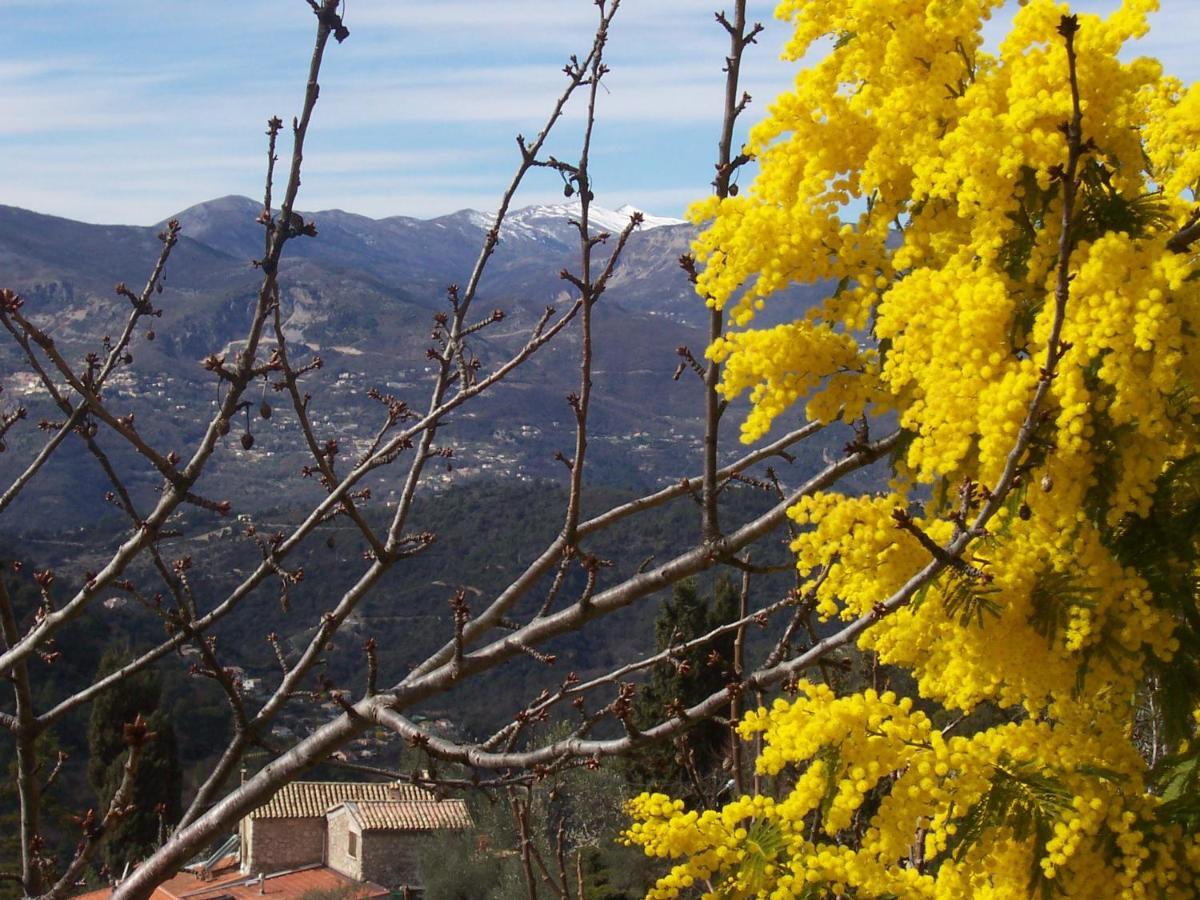 Lou Mas Dau Paigran Bed & Breakfast Saint-Blaise  Dış mekan fotoğraf